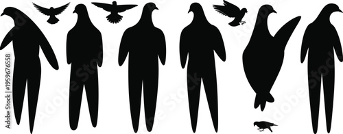 Penguin and flying bird silhouettes collection, black animal shapes isolated on white background wildlife illustration set