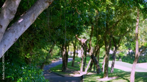 The background has clear branches on the left and blurred branches in the background.