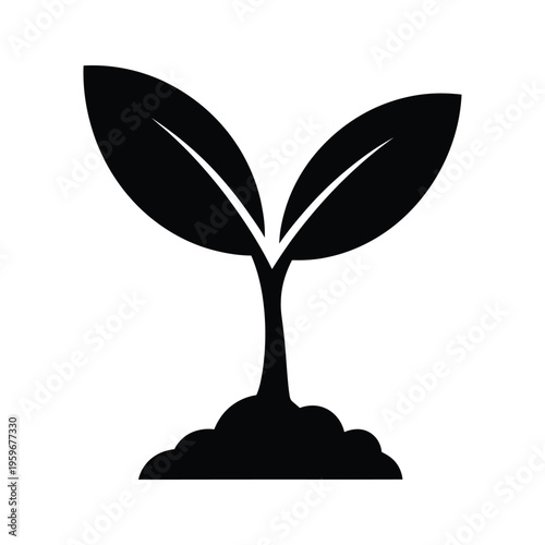 Sprout Seedling Growth Business Concept