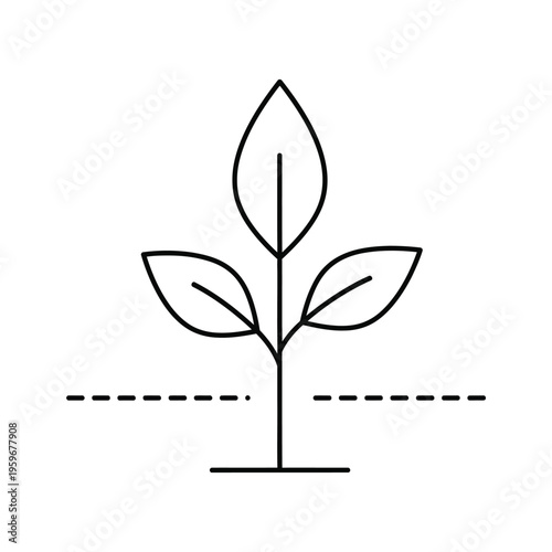 Plant Growth Seedling Business Concept