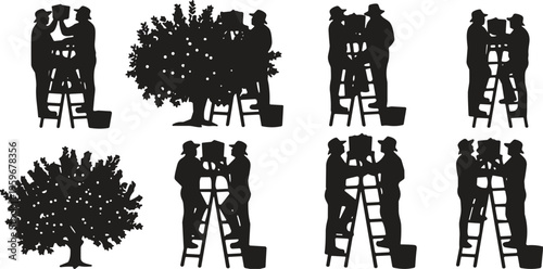 Set of farmer silhouettes picking fruit from trees on ladders, agricultural workers harvesting organic crops in orchard, black vector illustration for farming.