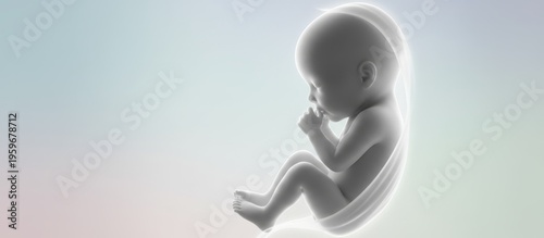 Human fetus showing early development inside the womb, representing concepts of new life, pregnancy stages, medical science, and fertility treatments like ivf