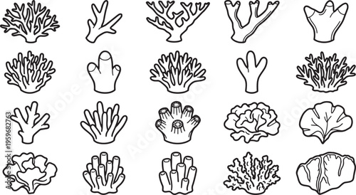 A captivating display of intricate coral reef designs in striking black and white, showcasing the delicate beauty of the ocean's underwater treasures. 