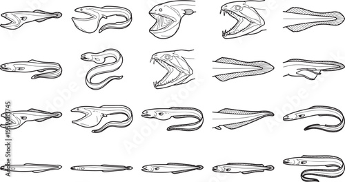 An Artistic illustration showcases a collection of eel sketches. Featuring the creature in various poses, from side profiles to open mouths, capturing a glimpse into the diverse world of eel forms.