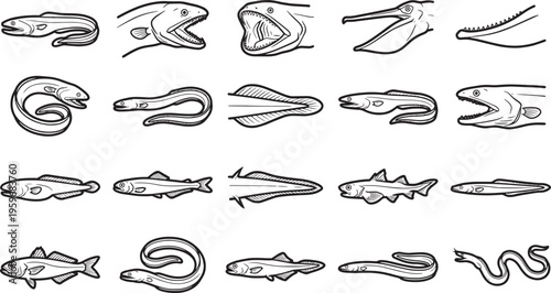 A collection of marine eel illustrations, showcase the elegant shapes of underwater life, in monochrome.