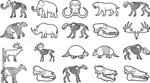 Detailed illustration of various prehistoric animal types, including their skeletal structures, highlighting the diversity of life forms.