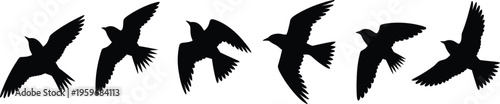 Black bird silhouettes in flight.