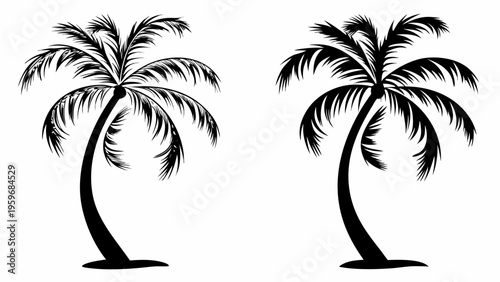 Two black palm trees on white background