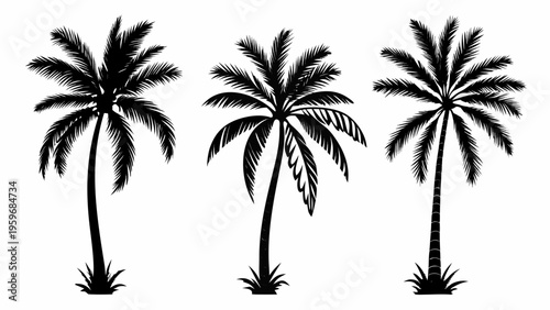 Silhouette of three palm trees