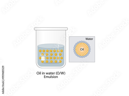 Emulsion, a mixture of two immiscible liquids (oil and water) in beakers, Emulsion oil in water, Immiscible liquids. Emulsification, emulsifier. isolated on white background. Vector illustration.