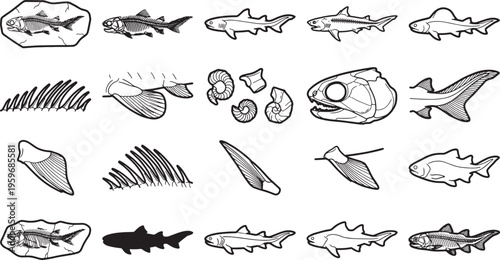 A collection of prehistoric marine fossils and skeletal outlines in detailed grayscale, capturing the essence of marine paleontology.