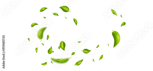 Green flying leaves bg. Wave foliage ornament. Leaf falling frame. Fresh mint tea background. Vegan, eco, organic product. Cosmetic pattern. Spring tree plant design. Air wind. Vector illustration