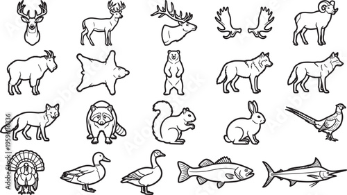 Black and white outline of Various Animals, featuring deer, bear, fox, fish, eagle, and many more.