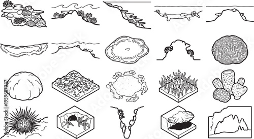 Diverse array of meticulously illustrated aquatic life, perfect for educational content, showcasing intricate forms and designs. 