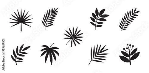 Black tropical leaf silhouettes collection on white background for exotic plant decoration