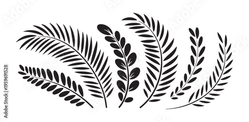 Set of various black stylized tropical palm fern leaves branches collection