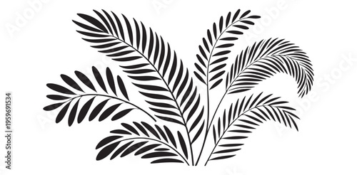 Group of lush exotic palm fronds detailed silhouette tropical plant cluster