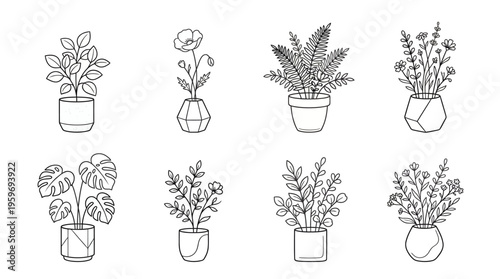 Set of eight potted houseplants with diverse leafy foliage, hand-drawn botanical sketch collection for home decor and plant lovers