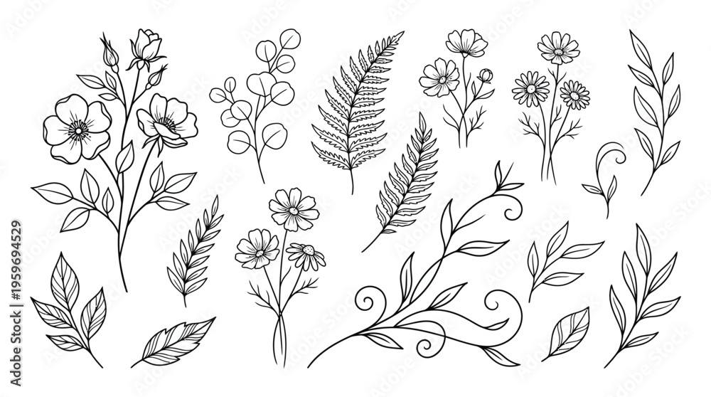 Fototapeta premium Delicate monochrome botanical sketch collection of flowers, leaves, and stems in fine line art