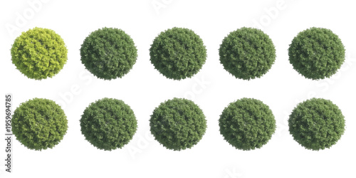Top view set of round green shrubbery bushes for architectural landscape design projects