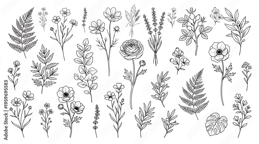 Fototapeta premium Hand-drawn grayscale botanical illustration set with diverse flowers, leaves and stems for art, design, and nature study projects