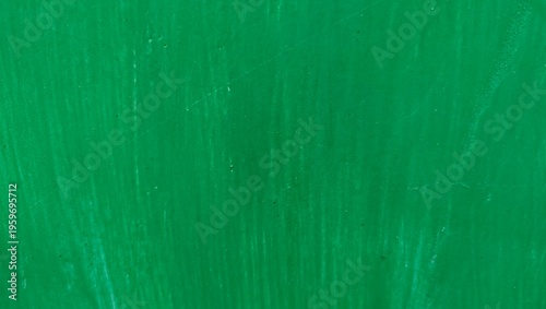 green wood texture