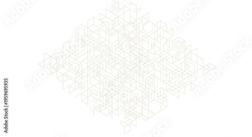 Close up of a white flower.