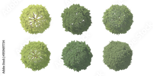 Set of six stylized green tree crowns viewed from above for architectural landscape design