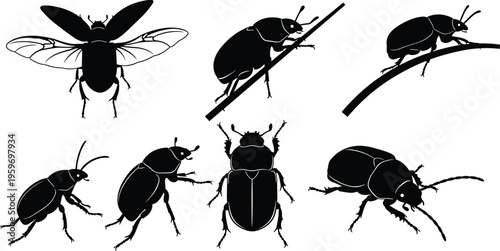 Black Silhouettes of Beetles and Insects in Various Poses Including Flying and Crawling on Branches Isolated on White Background for Nature Design Projects