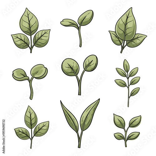 Realistic Seedling Growth and Sprout Illustration
