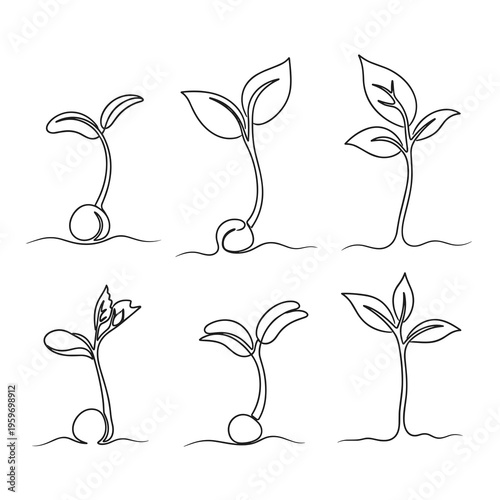 Continuous Line Art of Growing Seedlings
