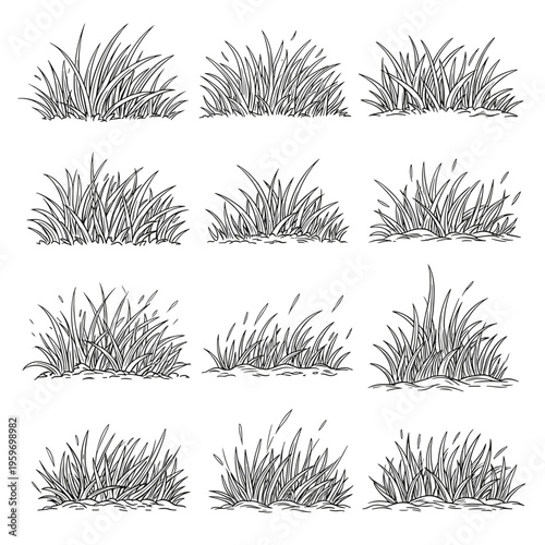 Various Textured Meadow Grass and Herb Sketches