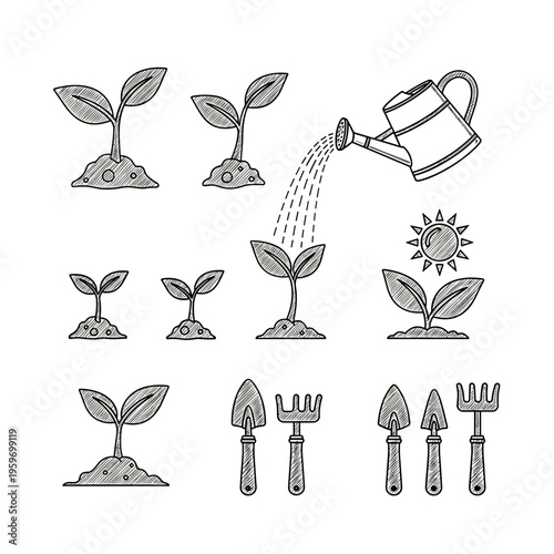 Gardening Activity and Plant Growth Icons