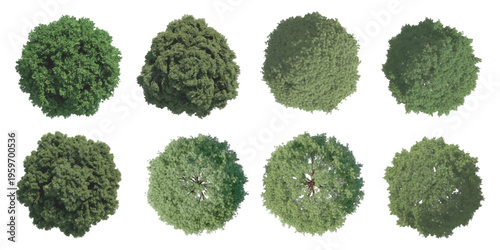 Set of eight diverse green trees seen from above for architectural landscape design projects
