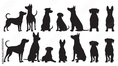Group of diverse dog silhouettes standing in alert positions. vector illustration eps 10