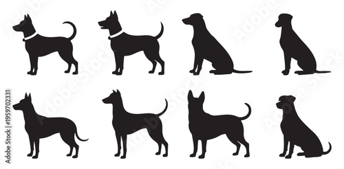 Large muscular breed dog silhouettes standing poses. vector illustration eps 10