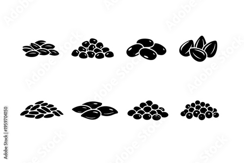 A Variety of Seeds Displayed in Different Piles, Showcasing Their Unique Shapes, Sizes, and Textures Against a Minimalistic Background
