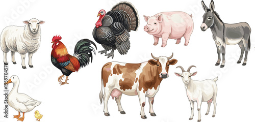 Vector set of domestic farm animals including cow pig sheep donkey goat turkey rooster and duck for agricultural livestock and rural nature design.