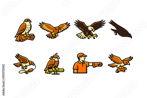 A Detailed Illustration of Various Birds of Prey and a Falconer, Showcasing Their Characteristics in Distinct Styles and Poses