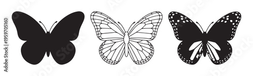 Set of three butterfly silhouettes isolated on white background beautiful decorative black element