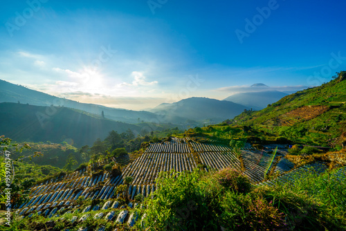 Beautiful morning, sunrise at  Batu Angkruk Dieng, Wonosobo, Central Java, Indonesia.