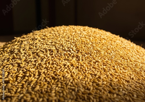 A beautiful natural close up texture of golden dry cereal grains piled high in bright warm sunlight perfect for harvest background, pile, brown, cooking