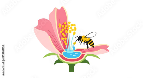 A colorful illustration of a bee collecting nectar from a pink flower with yellow stamens and green leaves on a white background.