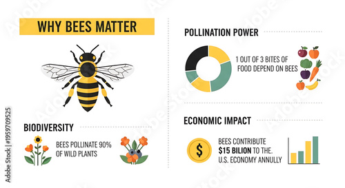 A colorful infographic highlighting the importance of bees in pollination and their economic impact