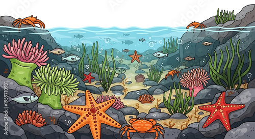 A colorful underwater ocean scene with various marine life and coral reef, illustrated in a vibrant and playful vector style.