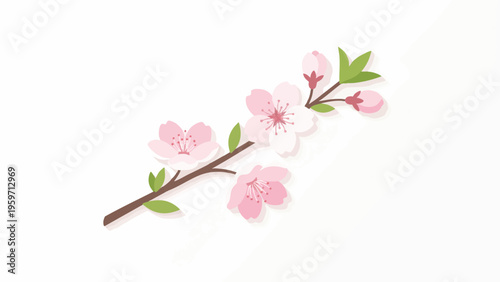 Cherry Blossom Branch Flat Vector Illustration with Delicate Pink Flowers and Buds