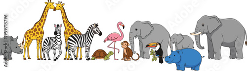 Large collection of safari and jungle animals including elephants giraffes rhinoceros zebra monkey flamingo toucan and hippo characters isolated on a solid white background