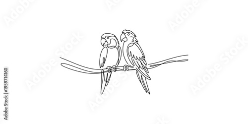 Two parrots sitting on a branch in a continuous line drawing style illustration parrot