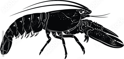Vintage black silhouette lobster vector illustration with detailed shell texture for seafood restaurant menus organic market branding and coastal nautical,