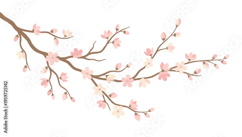 Cherry Blossom Branch with Delicate Pink and White Flowers and Buds